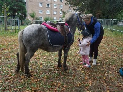 Jardins en fête : une enfant va monter sur un poney au Parc Alphonse Juin | © Ville de La Madeleine