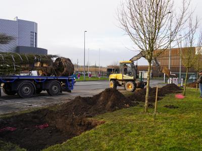 Plantation arbres au Complexe sportif Claude Dhinnin © Ville de La Madeleine